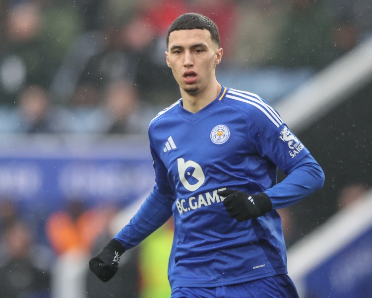 世俱杯-记者：水晶宫为签埃尔哈努斯提出更高报价，仍被蓝狐拒绝